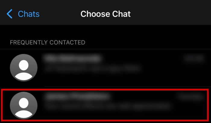 3- Save Voice and WhatsApp audio files with the Export Chat function