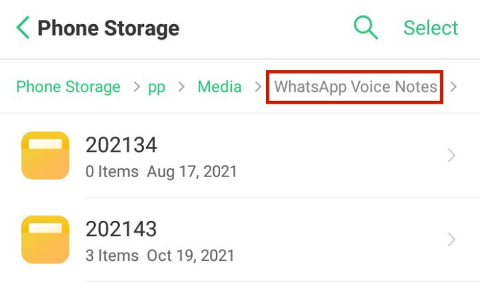 5- Save Voice and WhatsApp audio files on Android