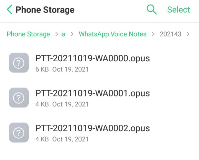 6- Save Voice and WhatsApp audio files on Android