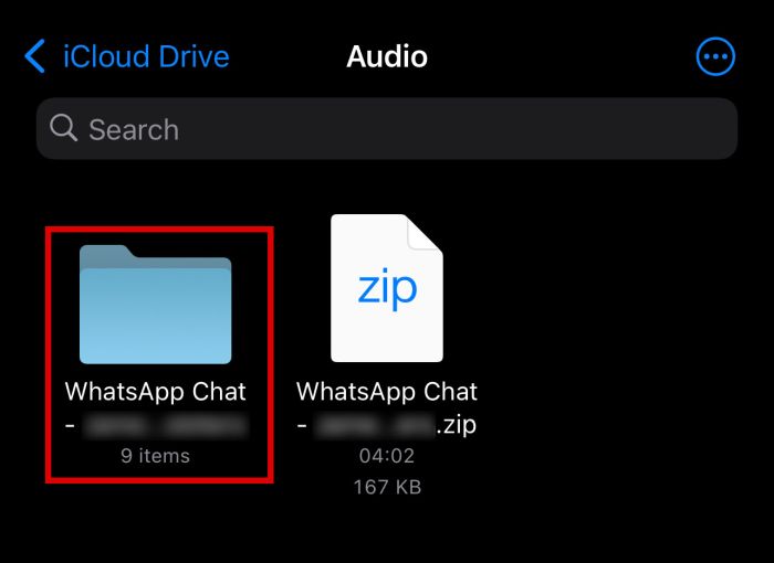 8- Save Voice and WhatsApp audio files with the Export Chat function