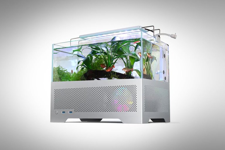 Combining Nature And Technology By Combining A Computer Case With An Aquarium
