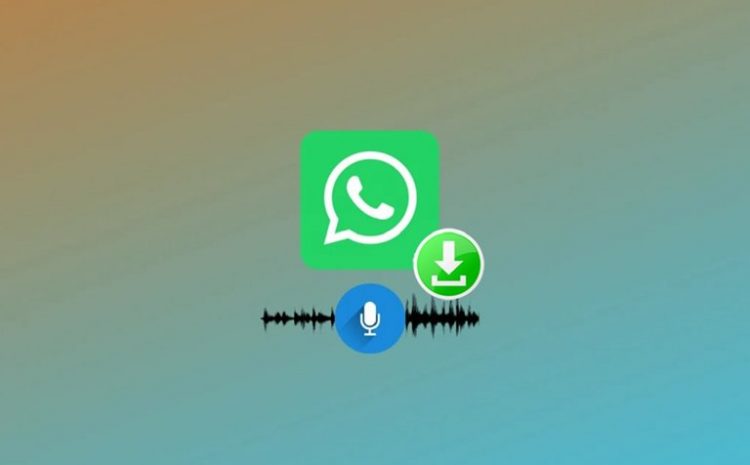 How To Save Voice and WhatsApp Audio Files?