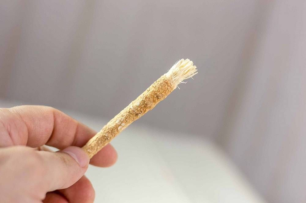 Natural toothbrush from a tree branch / miswak