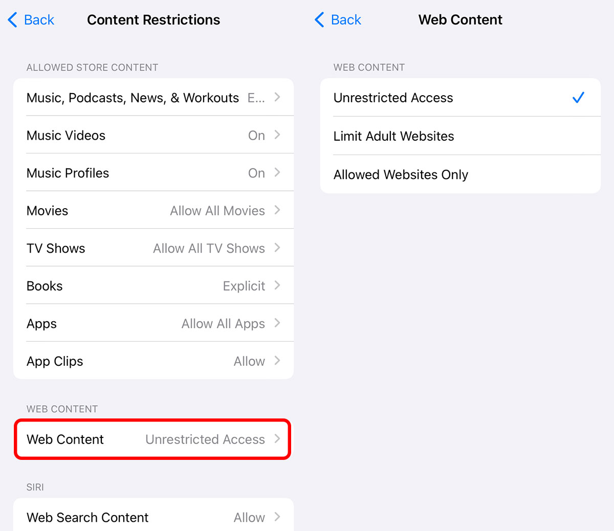 Restrict web content on iPhone