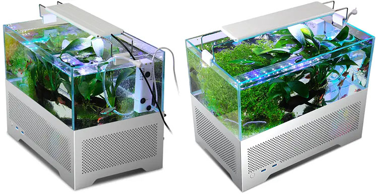 Y2 Fish Tank aquarium case