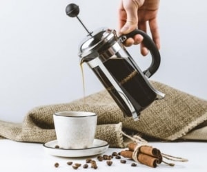 Types Of French Press And Applications + Purchase And Use Guide