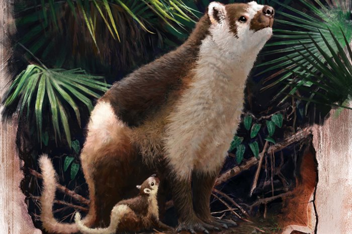 How Did Mammals Become Large Creatures After The End Of The Age Of Dinosaurs?