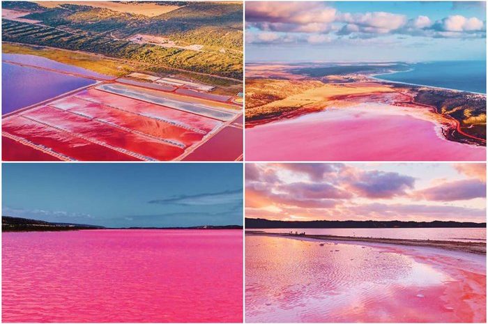 Pink Lagoon, A Dream Come True In Australia