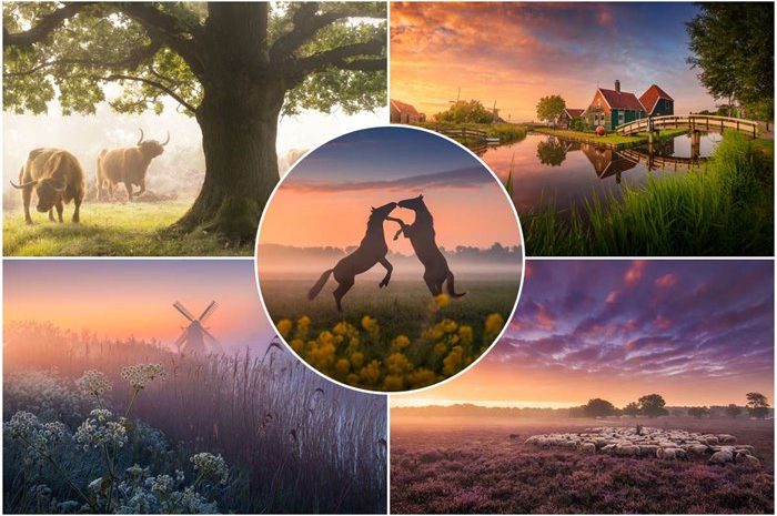 Spectacular Pictures Of The Unique Beauty Of The Netherlands