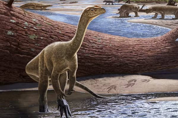 The Oldest African Dinosaur Was Discovered In Zimbabwe