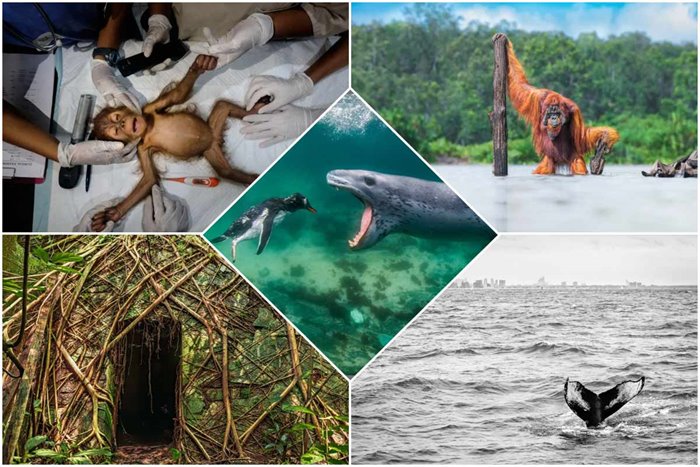 The Winners Of The 2021 Nature Photography Competition