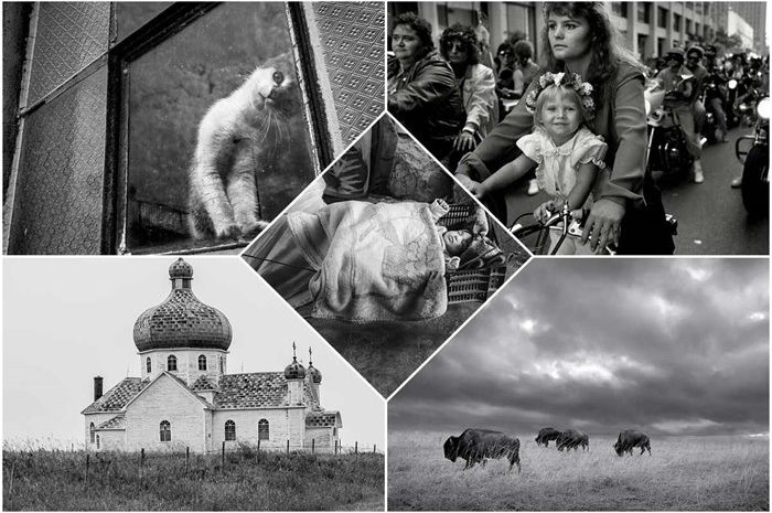 Winners Of The 2022 AAP Magazine Black And White Photography Contest