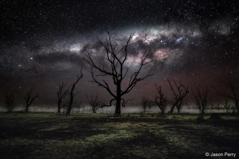 Australian Geographic Nature Photographer of the Year 2022