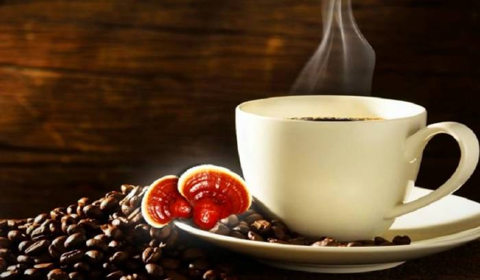 Benefits of ganoderma coffee