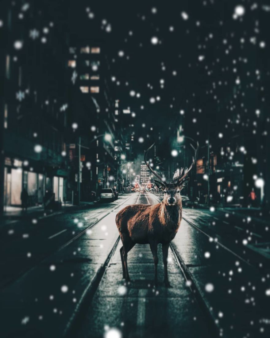 Digital art / Deer on a snowy street