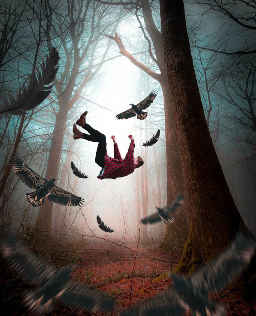 Digital art / Dream of falling in the forest and crows