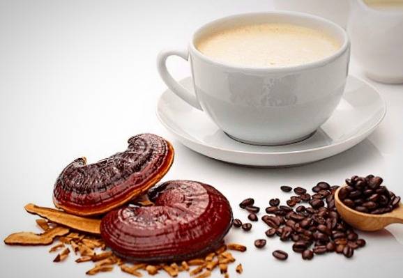 Ganoderma coffee properties