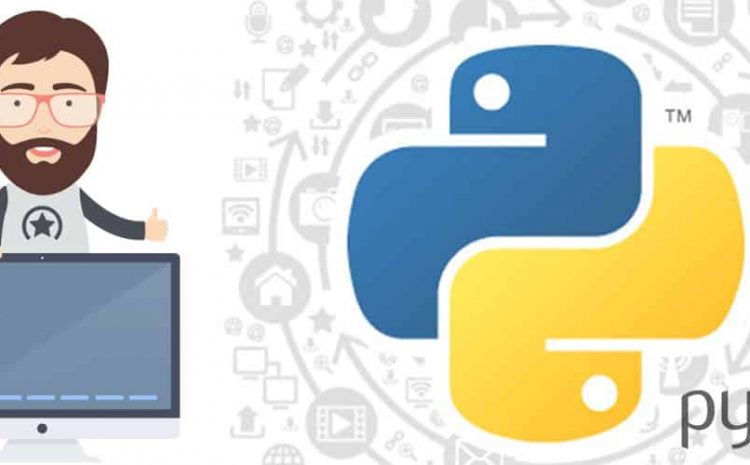 12 Career Tips For Python Programmers