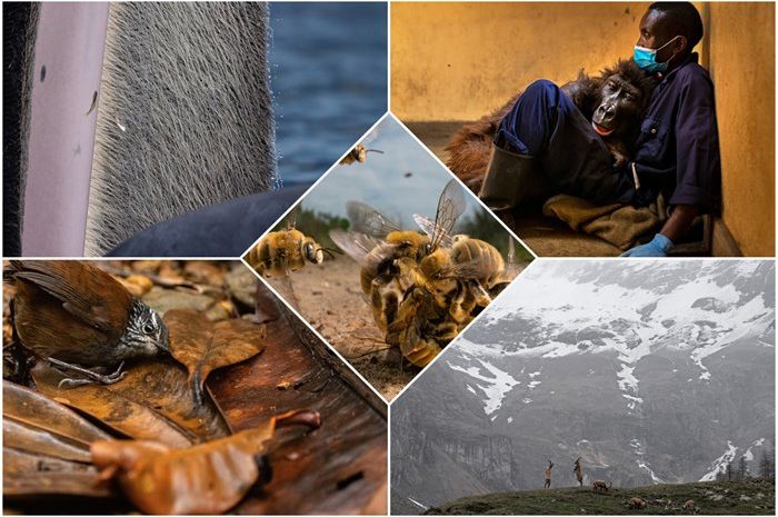 2022 Wildlife Photography Contest Winners