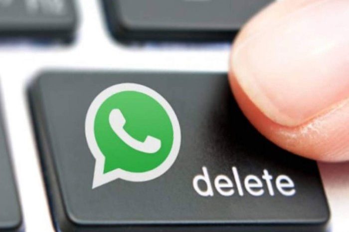 Delete WhatsApp Account On Android And iOS