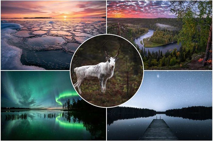 Fascinating Pictures Of The Wild And Untamed Nature Of Finland