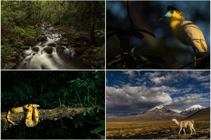 Golden Tips For Capturing Different Images Of Nature