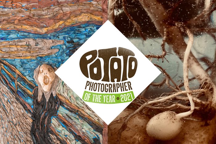 Selected Images Of The 2021 Photographer Competition With The Subject Of Potatoes