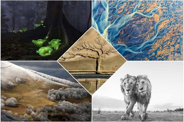 The Winners Of The 2022 Nature Conservation Photography Competition