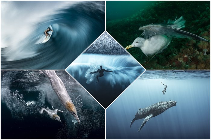 The Winners Of The 2022 Ocean Photography Contest