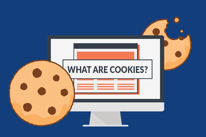 What Is A Cookie In The Browser And What Is Its Importance?
