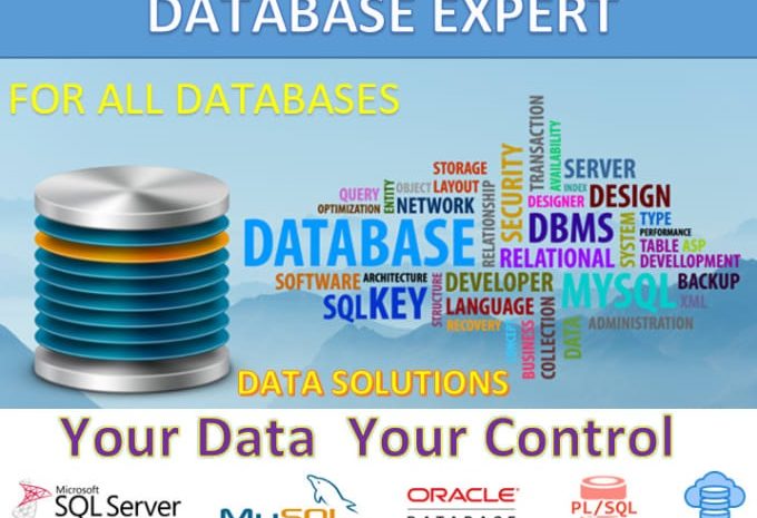 Who is a database expert and what skills does he have?