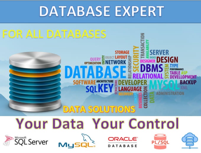 Who is a database expert and what skills does he have?
