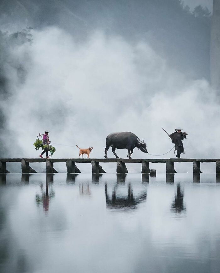 Beautiful pictures from around the world