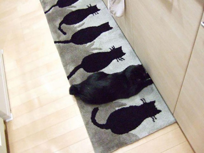 Cat on the carpet design