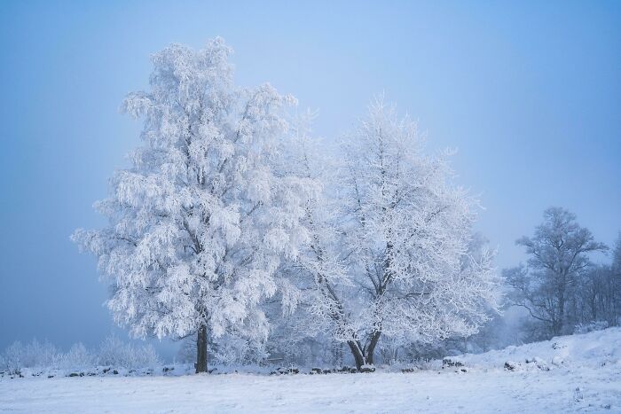 cold and frost in winter/