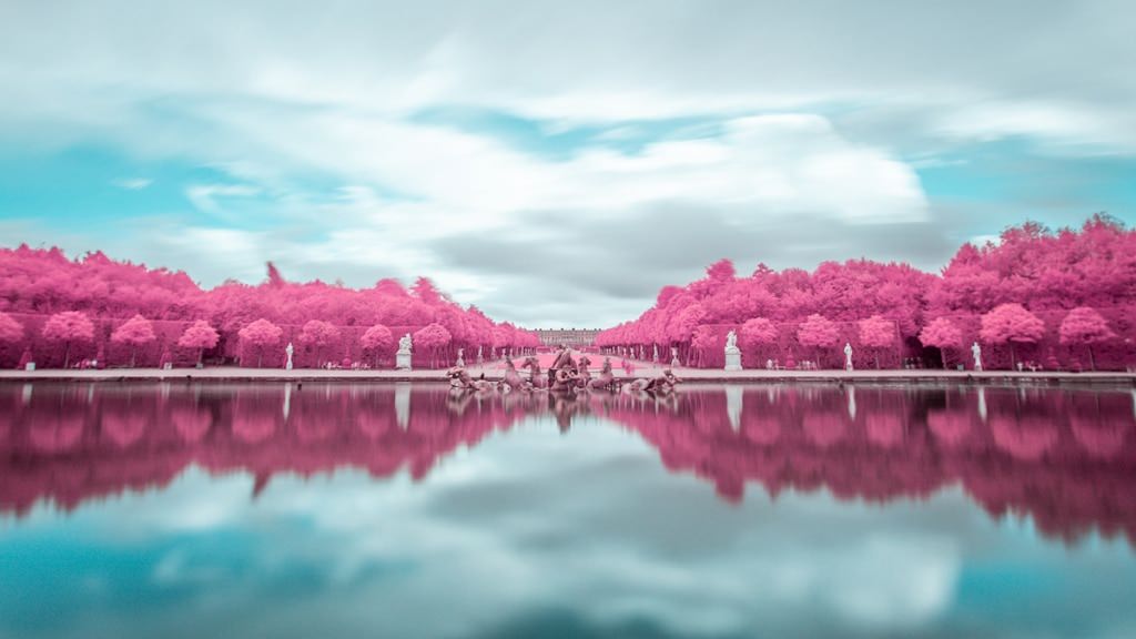 French landscape - lake surrounded by pink trees