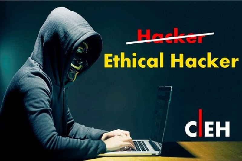 How to become a white hat hacker by receiving CEH?
