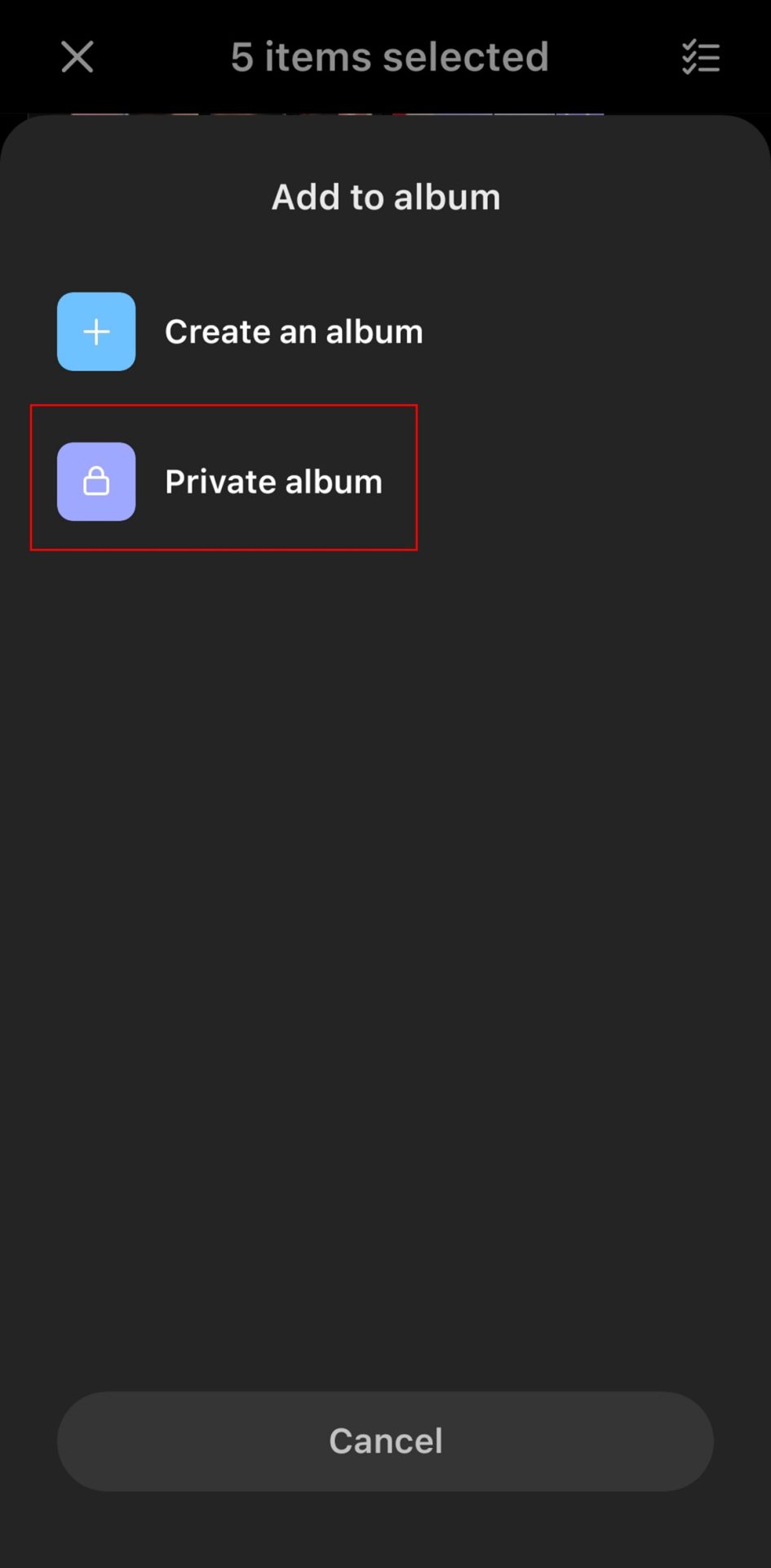 Opened menu and private album option in Gallery app