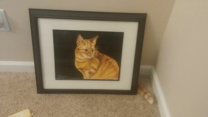 The cat behind the frame