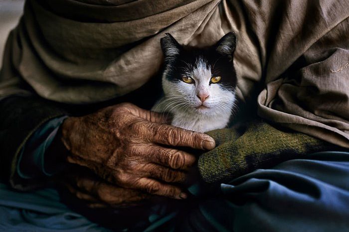 Images of the emotional relationship between humans and animals