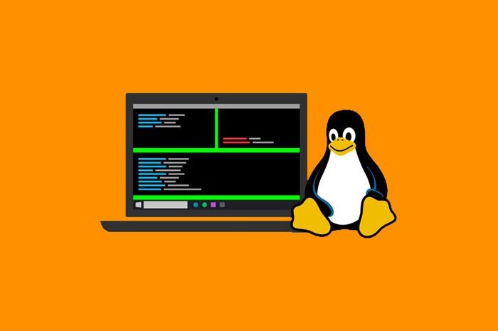 Installing The Program In Linux Has Different Methods Due To The Open Source Nature Of This Operating System, And In This Article We Will Discuss The Easiest Methods.