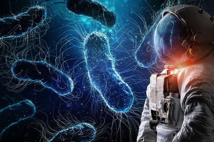 The Secrets Of The Microbiome Of Astronauts; How Does Space Travel Affect Human Health?