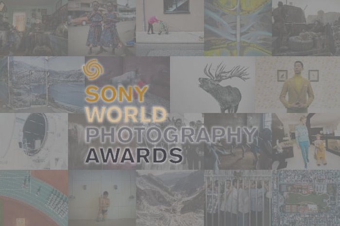The selected photos of the 2018 Sony photography contest have been determined