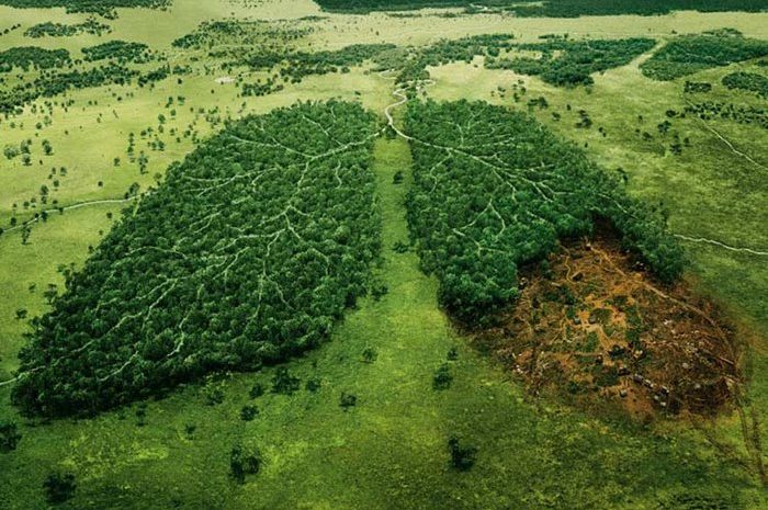 Watch: Shocking images of the Earth's reshaping by humans