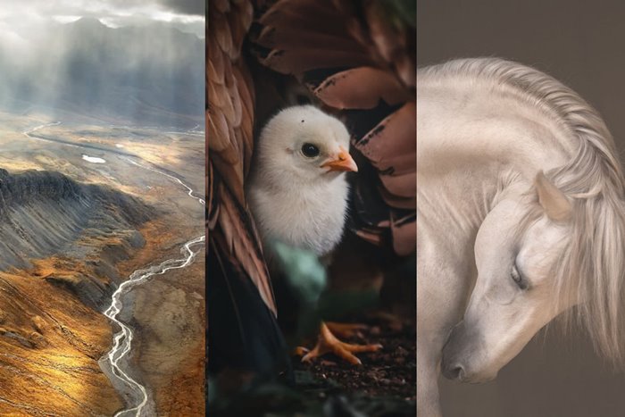 Winners of the Tokyo International Photo Awards; 30 amazing pictures of nature