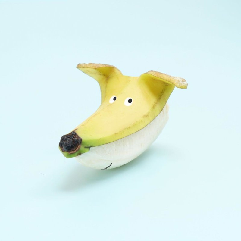 Animal pictures using vegetables and edibles