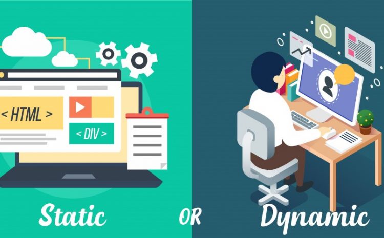static and dynamic website design