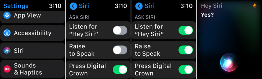 Conversation with Siri on Apple Watch
