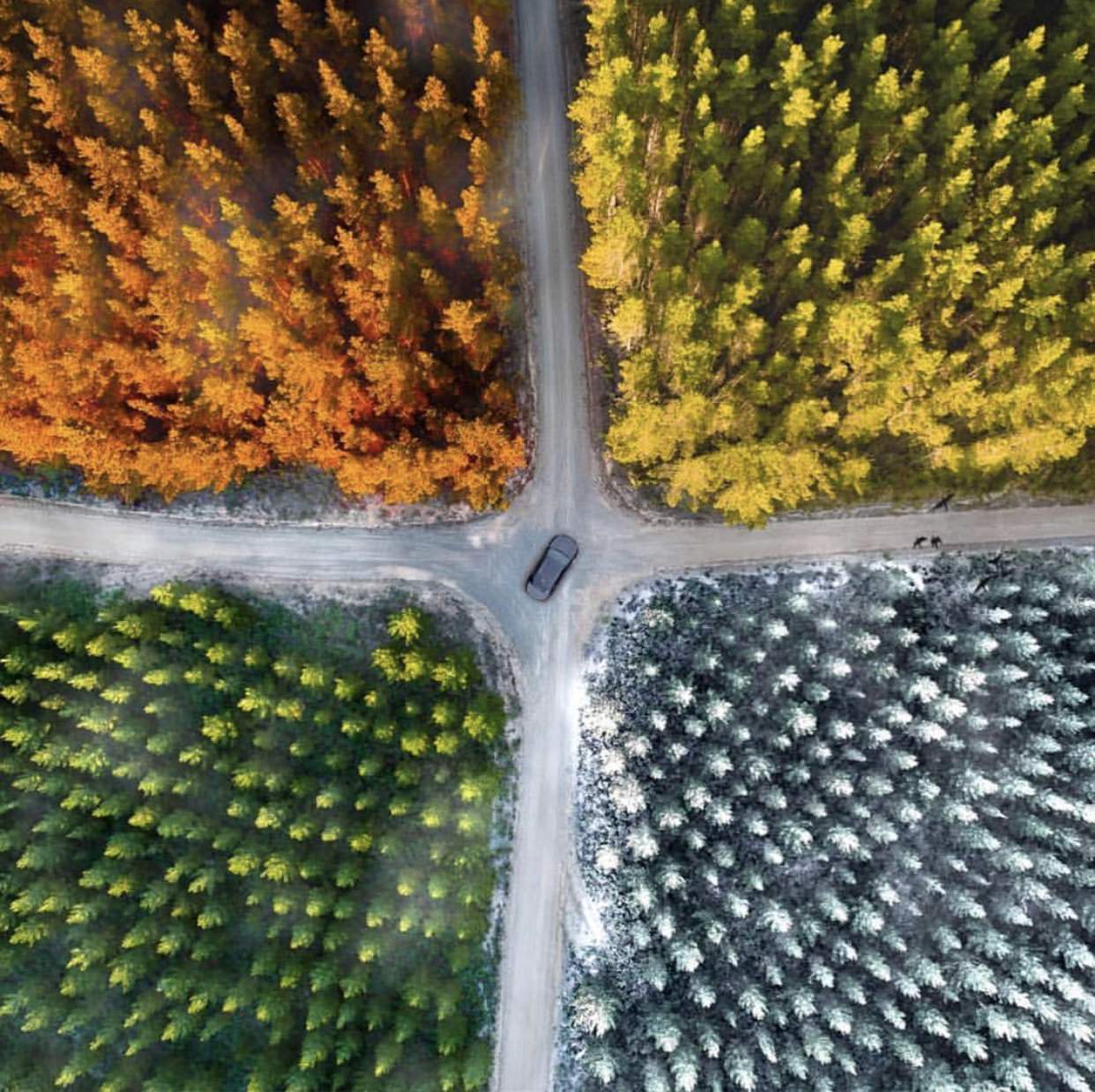 Danny is an Australian-born drone pilot who works at the Mall advertising agency. His talent was first recognized by the legendary photographer Demas Rusli, who himself captured a similar photo. Using a Mavic Pro, he captured this image of an intersection in Penrose Park. The image is in RAW format and with the help of Photoshop, seasons and layers of other objects and clouds have been added to it. The result is a visualization of 4 seasons in one day.