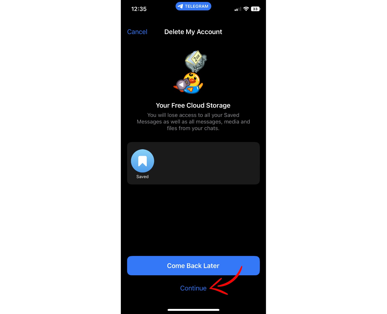 Delete the Telegram account in the iPhone application